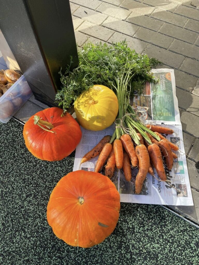 558127464 24983235551294454 5446761424982800226 n